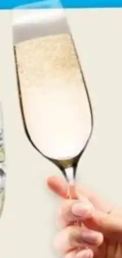 Hoogvliet Wijnglas Wit aanbieding