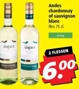 Boni Andes chardonnay of sauvignon blanc aanbieding