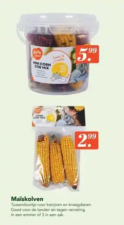 Discus Maïskolven aanbieding