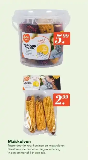 Discus Maïskolven aanbieding