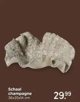 Xenos Schaal champagne aanbieding