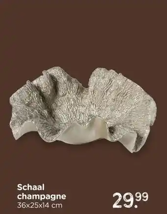 Xenos Schaal champagne aanbieding