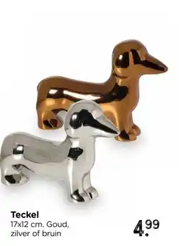 Xenos Teckel aanbieding