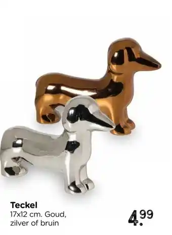 Xenos Teckel aanbieding