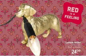 Xenos Lampje teckel aanbieding