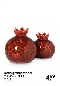 Xenos Deco granaatappel aanbieding