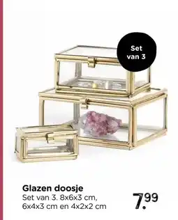 Xenos Glazen doosje aanbieding