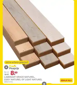 Praxis LAMINAAT GRACE NATUREL, COSY NATUREL OF LIGHT NATUREL aanbieding