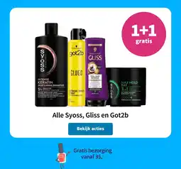 Plein.nl Alle Syoss, Gliss en Got2b aanbieding
