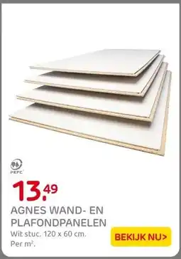 Praxis AGNES WAND- EN PLAFONDPANELEN aanbieding