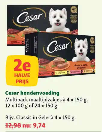 Maxi Zoo Cesar hondenvoeding aanbieding