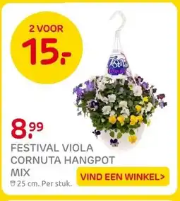 Praxis FESTIVAL VIOLA CORNUTA HANGPOT MIX aanbieding