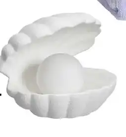 Kwantum Tafellamp Schelp aanbieding