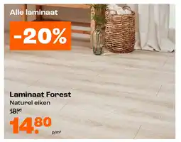 Kwantum Laminaat Forest aanbieding