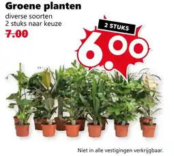 Coop Groene planten aanbieding