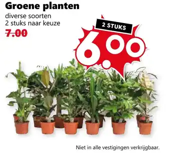 Coop Groene planten aanbieding
