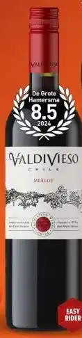 Gall & Gall Valdivieso Merlot 75CL aanbieding