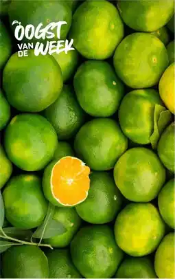 Ekoplaza SATSUMA MANDARIJNEN aanbieding