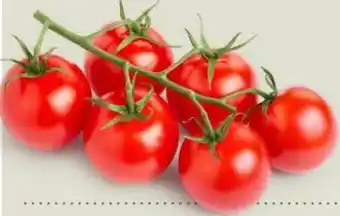Ekoplaza CHERRY TROS- TOMATEN aanbieding