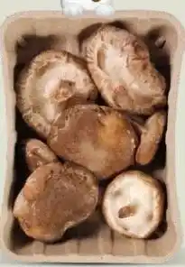 Ekoplaza Puur NL SHII-TAKE aanbieding