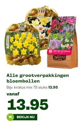Welkoop Alle grootverpakkingen bloembollen aanbieding