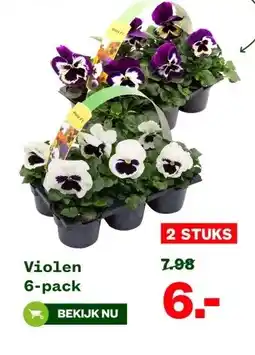 Welkoop Violen aanbieding