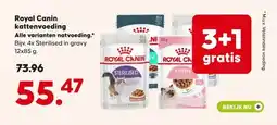 Pets Place Royal Canin kattenvoeding aanbieding