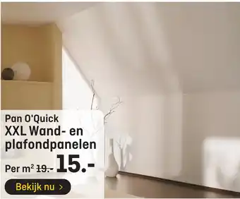 Hubo Pan O'Quick XXL Wand- en plafondpanelen aanbieding