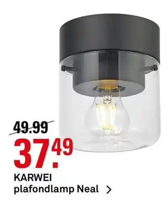 Karwei KARWEI plafondlamp Neal aanbieding