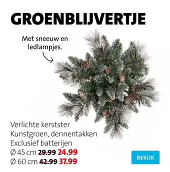 Intratuin Verlichte kerstster aanbieding