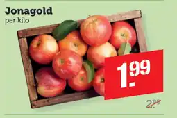 Dagwinkel Jonagold aanbieding