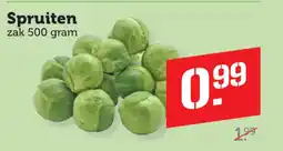 Dagwinkel Spruiten aanbieding