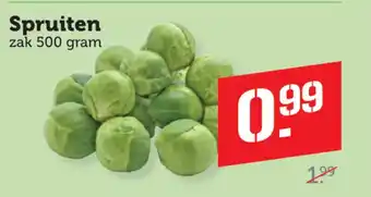 Dagwinkel Spruiten aanbieding