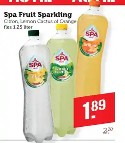 Dagwinkel Spa Fruit Sparkling aanbieding