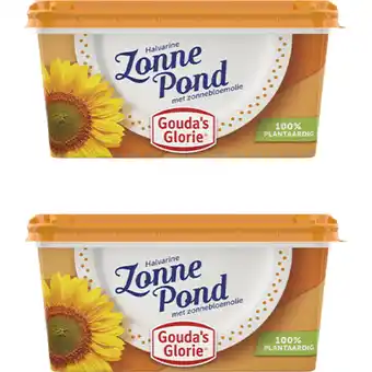 Albert Heijn Gouda's Glorie Zonnepond 2-pack aanbieding