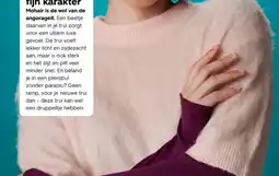 HEMA Trui met mohair aanbieding