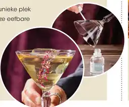 HANOS Inclusief kwastje aanbieding