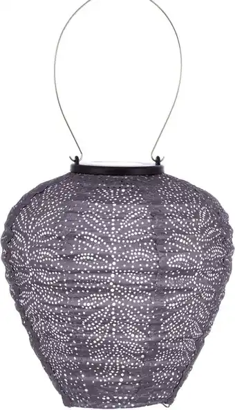 Intratuin Lumiz solar lampion Folia paars D 20 H 20 cm aanbieding