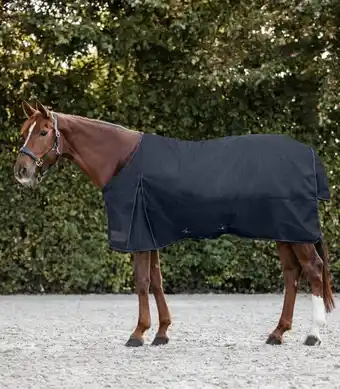 Welkoop Waldhausen Nordic 200 g - Winterdeken aanbieding