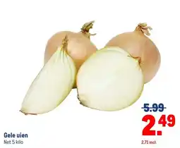 Makro Gele uien aanbieding