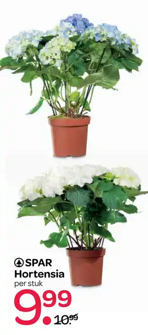 Spar SPAR Hortensia aanbieding