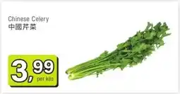 Amazing Oriëntal Chinese Celery aanbieding