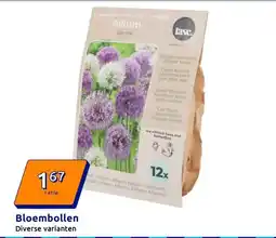 Action Bloembollen aanbieding