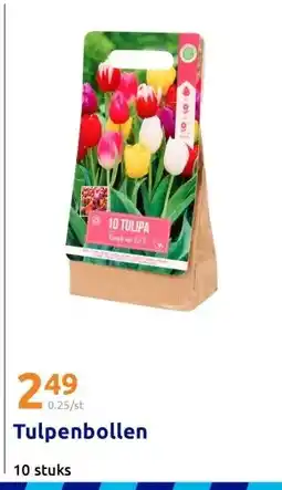 Action Tulpenbollen aanbieding