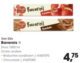HANOS Van Gils Bavarois aanbieding