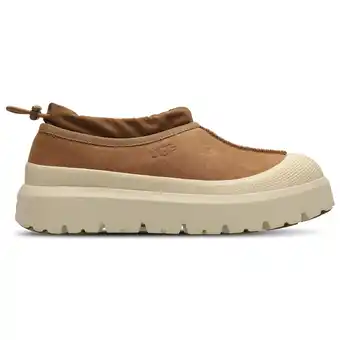Foot Locker UGG Tasman Laarzen Heren - Bruin - Maat 40 - Mesh/Synthetisch aanbieding