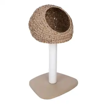 Zooplus Modern Living krabpaal Byron, klein 55x46x93cm kat aanbieding