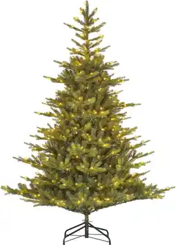 Intratuin Black Box kunstkerstboom Grand Fir met 700 lampjes warm wit D 162 H 230 cm aanbieding