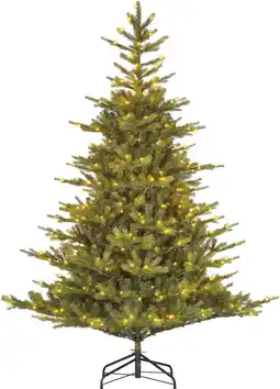 Intratuin Black Box kunstkerstboom Grand Fir met 800 lampjes warm wit D 172 H 270 cm aanbieding