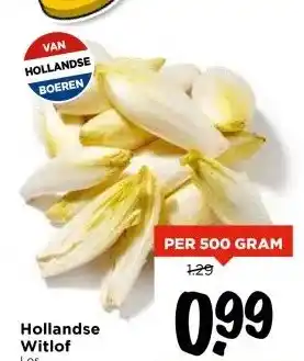Vomar Voordeelmarkt Hollandse Witlof aanbieding